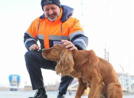 KOCASİNAN BELEDİYESİ SOKAK HAYVANLARINI UNUTMADI