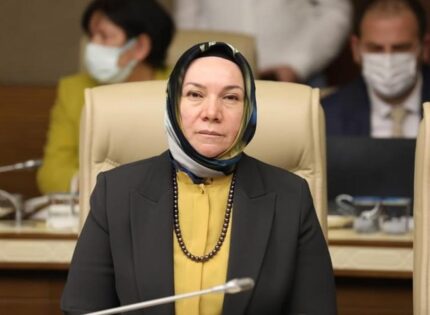 AK PARTİLİ NERGİS’TEN ÇOCUK TAVSİYESİ